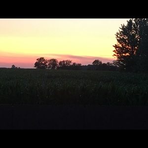 Meet your Posher, Carrie